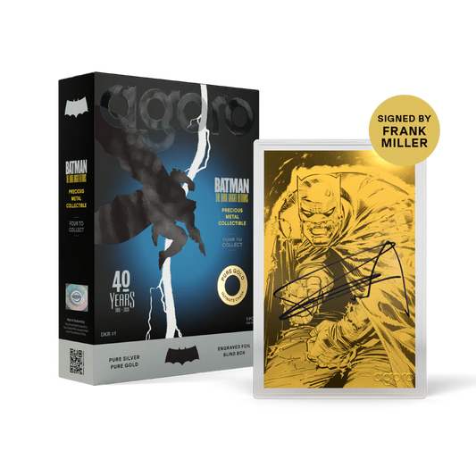 Agoro Batman The Dark Knight Returns Blind Box